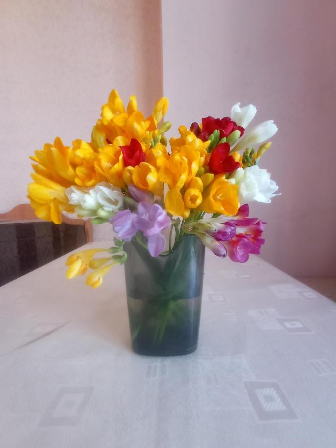 Sun City Hostel Yerevan Ngoại thất bức ảnh